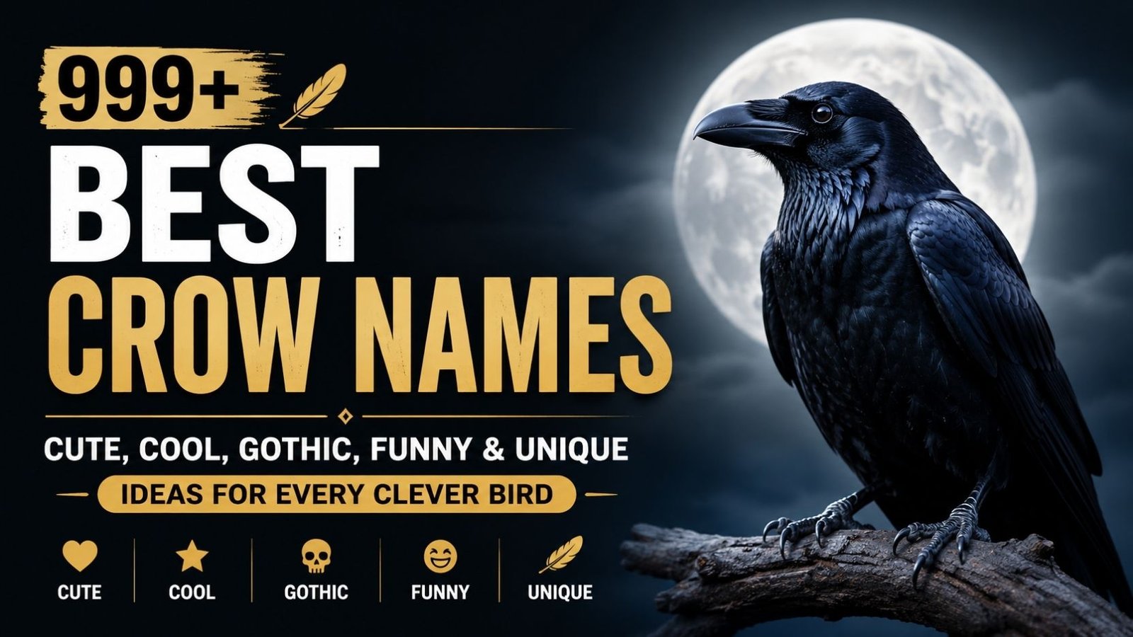 999+ Best Crow Names: Cute, Cool, Gothic, Funny And Unique Ideas For Every Clever Bird