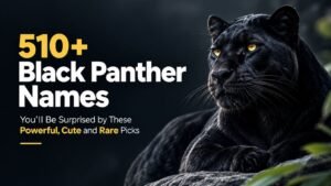 510+ Black Panther Names You’ll Be Surprised by These Powerful, Cute and Rare Picks