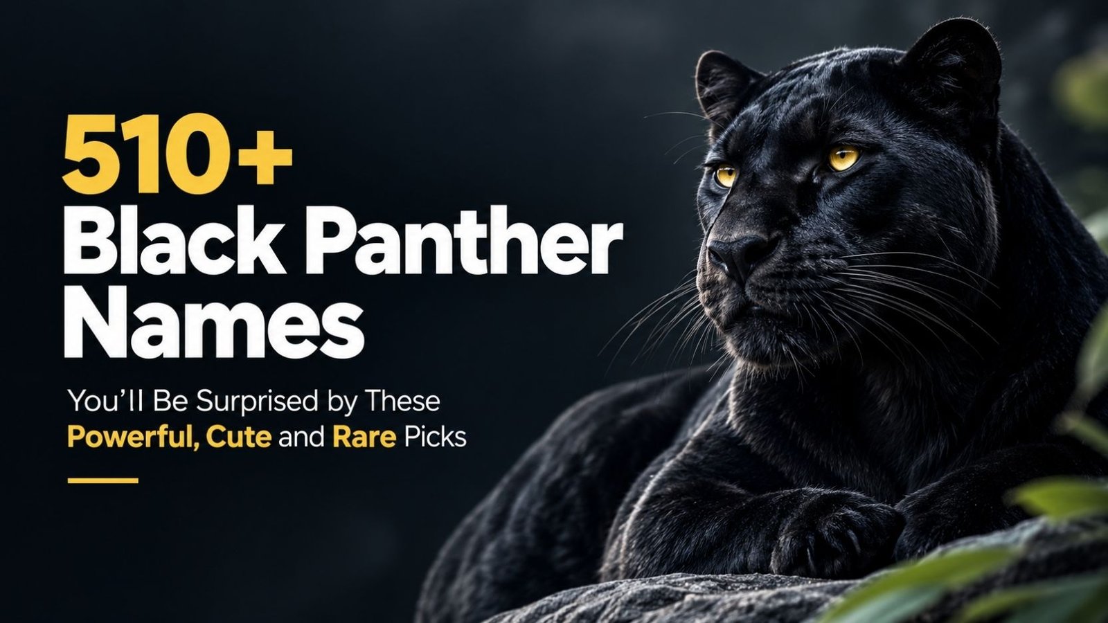 510+ Black Panther Names You’ll Be Surprised by These Powerful, Cute and Rare Picks