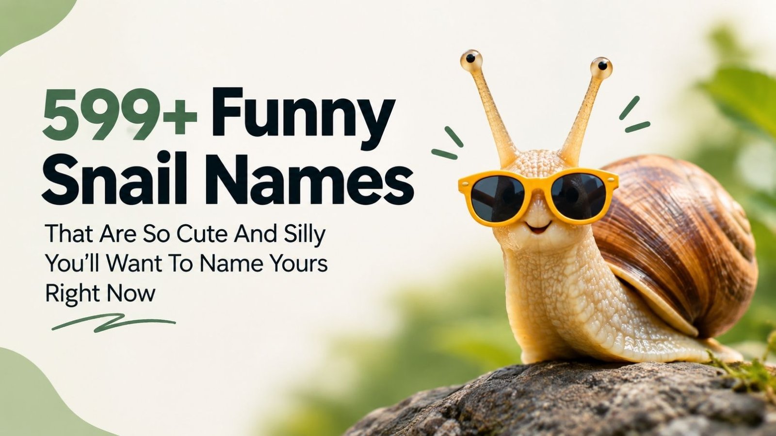 599+ Funny Snail Names That Are So Cute And Silly You’ll Want To Name Yours Right Now