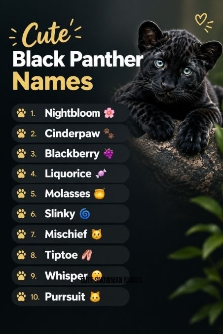 Cute Black Panther Names